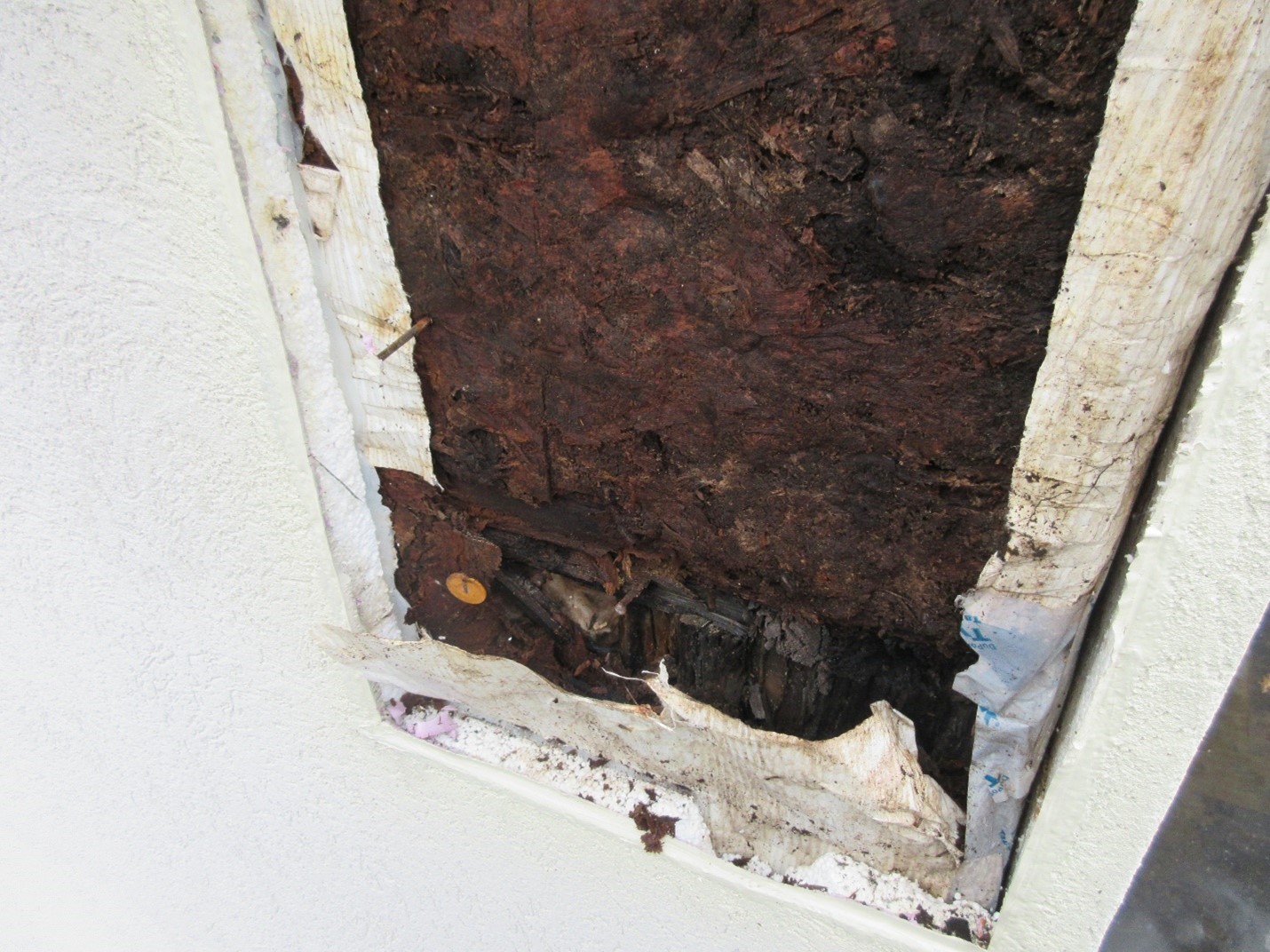 Don’t Get Drained with Different Types of EIFS